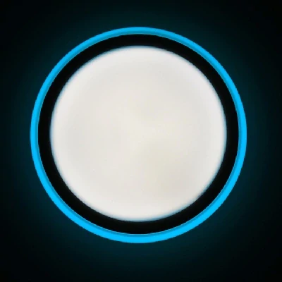 LED stropnice DUHA 30W+6W